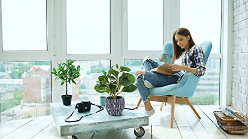 AlphaAcc Artificial Plants Real Looking and Touching Fake Plant Evergreen Plastic Fiddle Leaf Fig Plant with Rustic Black Cement Planter for Housewarming Office Desk Decor - color: Green Fiddle Leaf Fig Plant