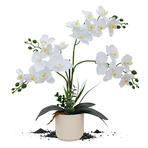 ucky White 15.7" 3D Lifelike Artificial Orchid Plant with 20 Heads, Realistic Faux Phalaenopsis in Ceramic Pot for Home Decor, Elegant Fake Flower Arrangement Table Centerpiece - color: White