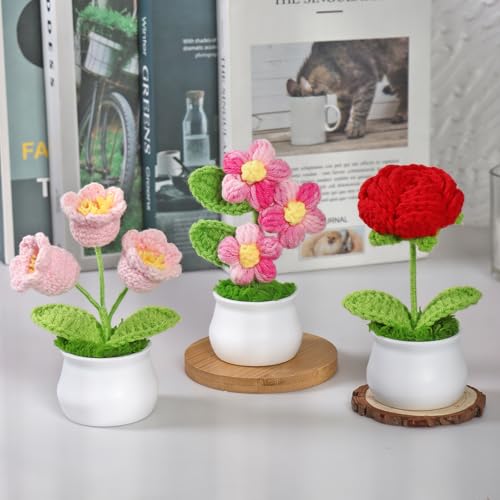 Weldomcor Crochet Flowers Cute Potted Plants Fake Knitted Flower Mini Flowers for Desk Office Car Dashboard Window Home Decor, Gift for Teachers Graduation Anniversary Birthday - color: Puff+rose+lily of the Valley