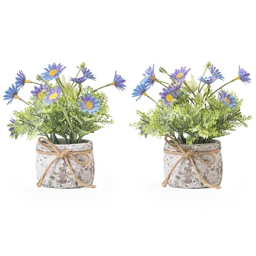 Daisy Artificial Flowers in Cement Vases 2Pcs,Daisies Faux Flowers Farmhouse Home Coffee Table Bookshelf Office Desk Decorations Kitchen Dining Room Fake Plants Indoor(Blue) - color: Blue Daisy