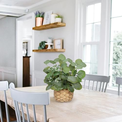DILATATA Artificial Eucalyptus Stems in Woven Basket Planter, 12" Fake Plant Eucalyptus Leaves with Green Seeds Faux Potted Plant Greenery for Table Centerpiece Office Indoor Home Decor - color: Style#2