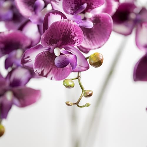 DUYONE 35 Inch Artificial Butterfly Orchid Flowers 4 Pcs Soft Touch Orchid Fake Phalaenopsis Flowers Stem Plants for Wedding Home Decoration (Deep Purple 4pcs) - color: Deep Purple Flowers 4pcs