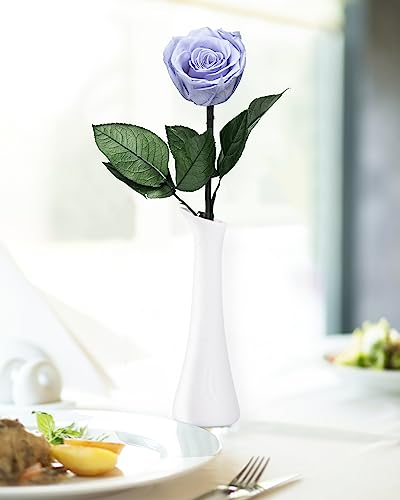 Blue Flowers for Delivery Prime, Preserved Blue Roses Flower Gifts for Women, Real Roses Single Rose Gifts for Her, Mom Birthday Gifts from Daughter, Solid Lilac Roses - color: 09-solid Lilac