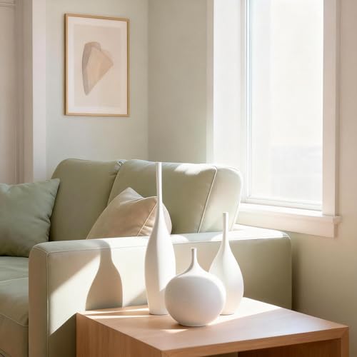 Relexome White Ceramic Vase Modern Boho Wabi-Sabi Flower Vase Set of 3 Decorative Aesthetic Vases for Centerpieces Pampas Matte Minimalist Vases for Living Room Table Shelf Home Decor Gift - color: White