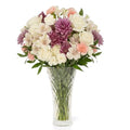 Aquarossa Farms – Fresh Cut Flowers for Delivery, Gifts for Graduation, Birthday, Anniversary, or Just Because – Mixed Bouquet