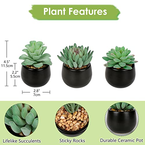 Briful 3PCS Artificial Succulents Fake Plants Mini Succulents Potted in Black Ceramic Pots Artificial Plastic Plants for Home Office Desk Farmhouse Bathroom Décor - color: Type #1