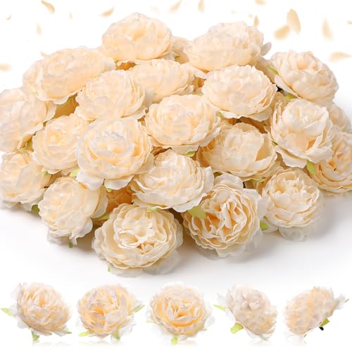 Thiccywoov 50 Pcs Artificial Flowers, 3.2 Inches Silk Rose Head Flowers Fake No Stem for Wedding Bridal Bouquet Home Floral Decor DIY Centerpieces Arrangements Party Tables Decoration(Champagne) - color: Champagne