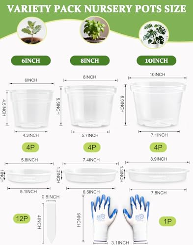 10/8/6 Inch Clear Plant Pots with Drainage Hole 12 Pack, Transparent Sturdy Plastic Nursery Pots with Saucers, Plant Label, Gardening Gloves, Plant Starter Pots for Planting Seed Herb Vegetable Flower - size: 10/8/6 Inch-12P
