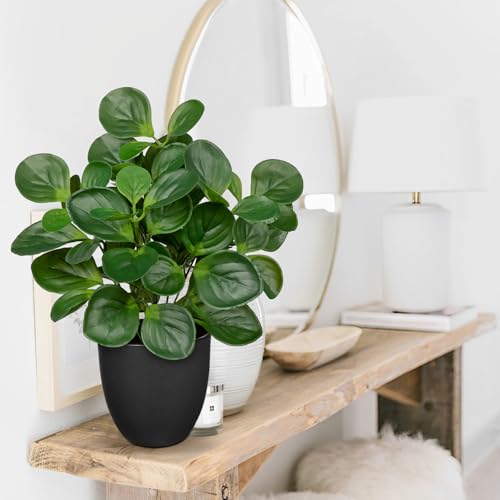 Villa Como 14.5" Artificial Plants Indoor Home Decor, Fake Potted Silk Plants for Shelves Living Room Decorative, Small Artificial Office Desk Plants in Pots, Faux Peperomia Hope Tropical House Plant - color: # Total Green