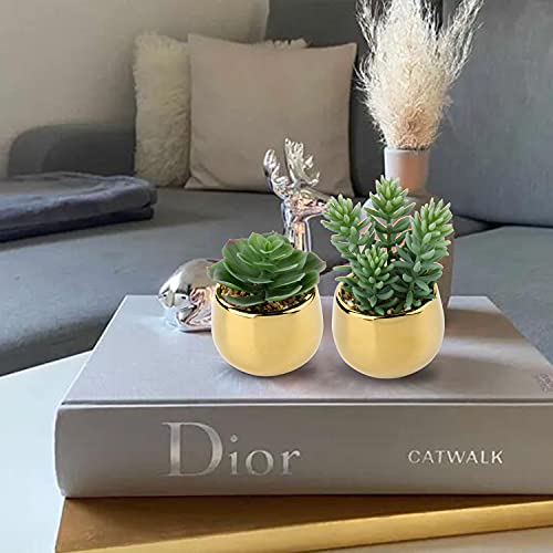 Briful Small Artificial Succulents in Pots Set of 3 Realistic Faux Succulents Plants with Gold Ceramic Pots Cute Mini Fake Plants Decor for Modern Home Table Office Desk Bathroom Shelf Decoration - color: Style #09