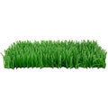 Instincts by SmartyKat 2-Pack Meadow Mayhem Hide & Seek Paper Grass Rustle Cat Mat Toy - Green, 2-Pack