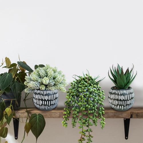 Winlyn Set of 3 Small Artificial Succulent Potted Plants Faux Aloe Hops Hanging Succulent in Black Concrete Planters for Gift Home Office Bathroom Living Room Wedding Windowsill Table Shelf Desk Décor - color: Black Pot