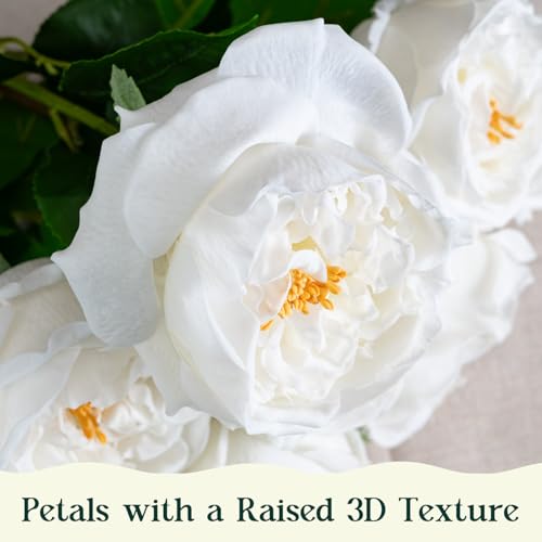 4 Pcs Real Touch Peonies Artificial Flowers, 3.5'' Big Bloom Austin Rose Peony Latex Fake Flower with Stems for Wedding Bouquet Party Valentines Arrangement Home Kitchen (White) - color: White