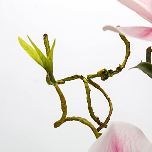 DILATATA Faux Flowers in Vase 15.4" Magnolias Flowers Arrangement with Faux Water Real Touch Flowers for Wedding Table Centerpiece Home Decor, Pink - color: Pink-magnolia