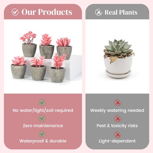 DomeStar Set of 6 Artificial Succulent Plants Potted, Assorted Decorative Pink Faux Succulent Potted Fake Cactus Cacti Plants with Pots - color: Pink