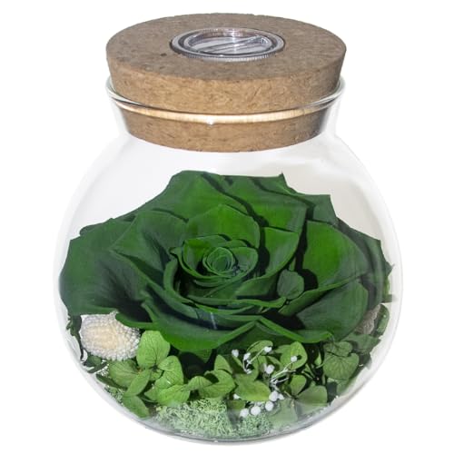 Preserved Real Roses with Colorful Mood Light Wishing Bottle,Eternal Rose，Never Withered Flowers,for Bedroom Party Table Decor, Christmas Decorations,a Gifts for Women 4.3inch1pcs (Green) - color: Green