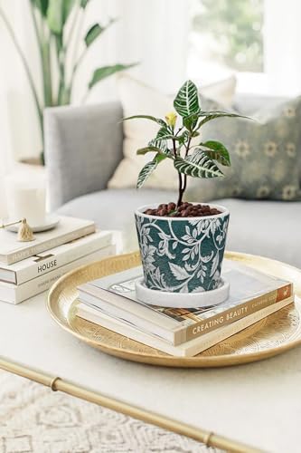 Set of 2 Ceramic Blue and White Plant Pots with Drainage Hole and Saucers, Vintage Farmhouse Accent Planters for Indoor Plants, Round Flower Pots Rustic Succulent Pot Terracotta Tubs 5.7/4.7 Inch - color: Teal Green