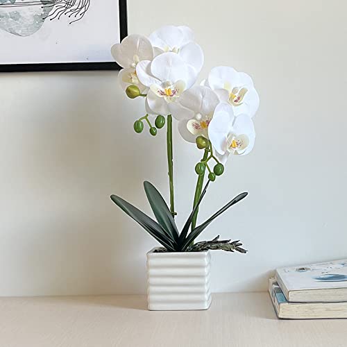 Artificial Orchids for Home Decor Indoor Silver Vase Orchids Artificial Flowers(White） - color: White