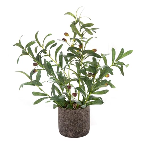 AlphaAcc 18 Inch Artificial Olive Branches Real Looking Potted Plant Fake Olive Tree with Lifelike Leaves and Fruits in Rustic Black Cement Planter Faux Greenery Plant for Indoor Outdoor Decor - color: Green Olive Plant 18" H