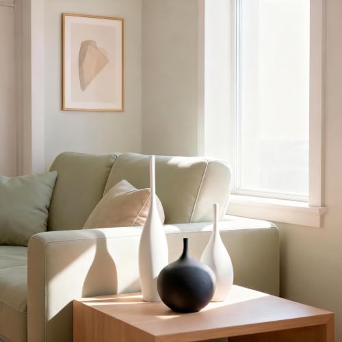 Relexome White Ceramic Vase Modern Wabi-Sabi Black Flower Vase Set of 3 Decorative Aesthetic Vases for Centerpieces Pampas Matte Minimalist Vases for Living Room Table Shelf Home Decor Gift - color: 2white+black