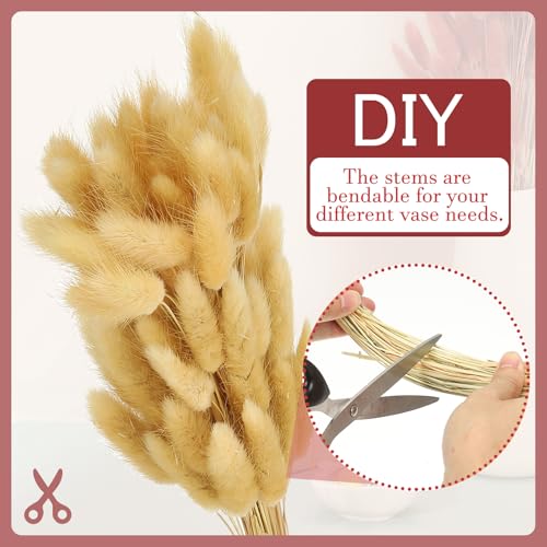 PATIKIL 15.7in Bunny Tails Dried Flowers, 80pcs Pampas Grass Decor Rabbit Tail Natural Pampas Grass Bulk Fluffy Faux Pampas Grass Dried for Home Boho Decor Vase Wedding Table, Beige - color: Beige
