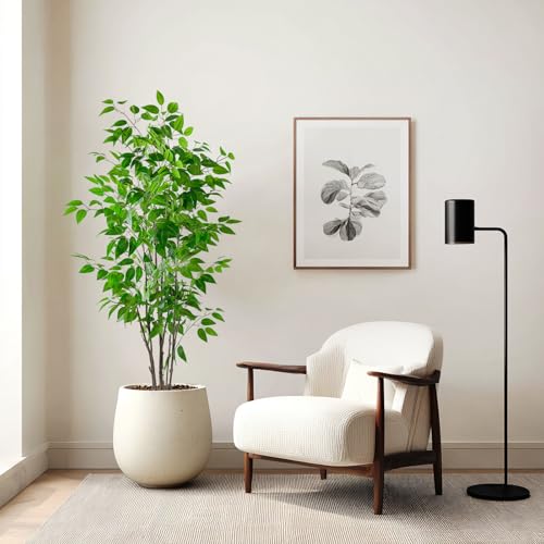 5ft Artificial Ficus Tree with White Plastic Planter | Collapsible trunk structure enables quick assembly and compact space-saving storage - color: Green, size: 5ft
