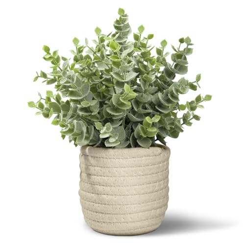 Hopewood Faux Plants, Fake Plants Eucalyptus Potted for Home Office Desk, Artificial Eucalyptus with a Weave Basket for Indoor Greenery Tabletop - color: Green Plant Style E