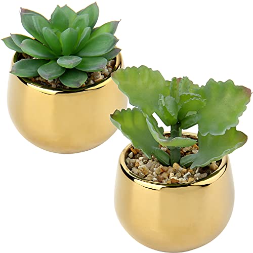Briful Small Artificial Succulents in Pots Set of 2 Realistic Faux Succulents Plants with Gold Ceramic Pots Cute Mini Fake Plants Decor for Modern Home Table Office Desk Bathroom Shelf Decoration - color: Style #05