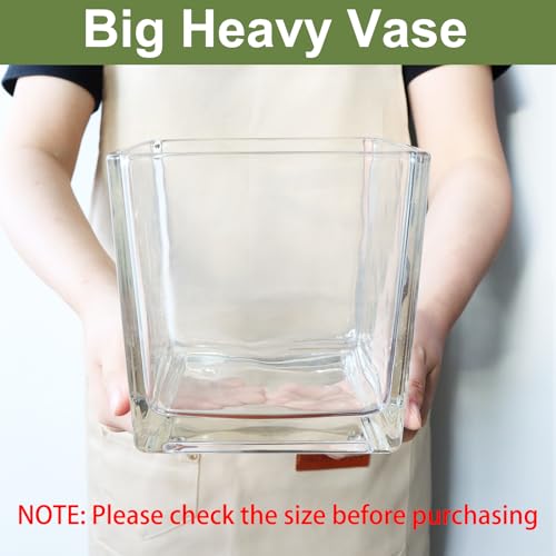1 Pack Square Glass Vase 6" x 6" x 6", Clear Flower Vase for Centerpieces, Candle Holder for Wedding Party Events, Home Décor - size: 6inch