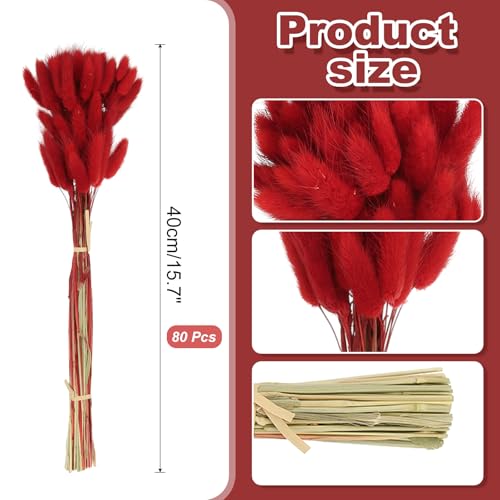 PATIKIL 15.7in Bunny Tails Dried Flowers, 80pcs Pampas Grass Decor Rabbit Tail Natural Pampas Grass Bulk Fluffy Faux Pampas Grass Dried for Home Boho Decor Vase Wedding Table, Red - color: Red
