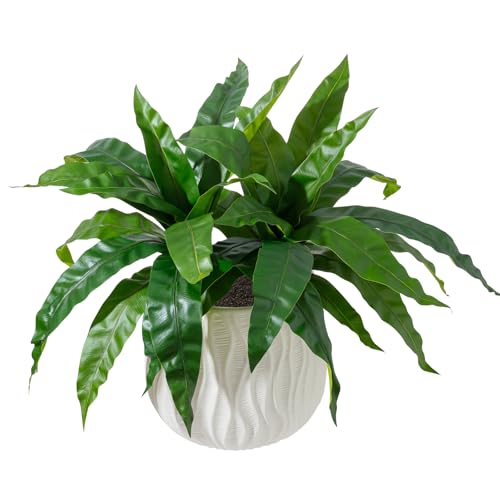 ucky 18.1" Artificial Dracaena Leaves Stems (15 Leaves, Bird’s Nest Fern), Lifelike Faux Tropical Greenery Bush for Vase, Outdoor Porch Decor - color: 2pcs Bird's Nest Fern, size: 15 Leaves
