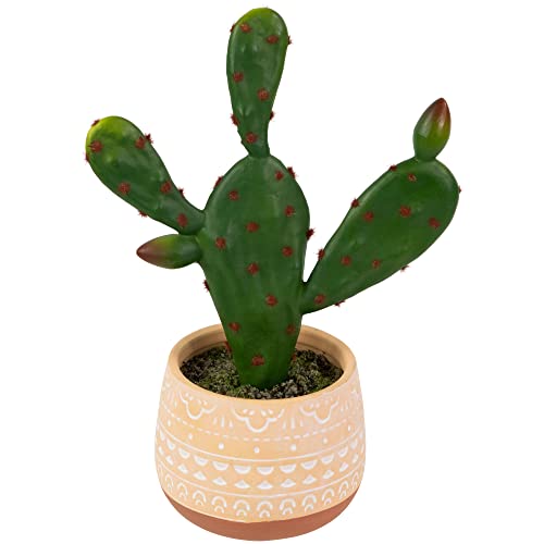 Northlight Real Touch™ Artificial Green and Red Potted Floral Cactus - 9.5"