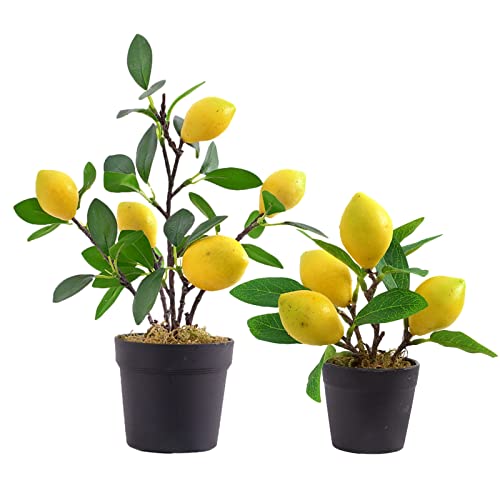QTMY 2 Pack Artificial Mini Lemon Tree Potted Plants, Nearly Natural Fake Plant Lemon Decor for Kitchen, Indoor, Living Room, Bedroom
