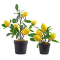 QTMY 2 Pack Artificial Mini Lemon Tree Potted Plants, Nearly Natural Fake Plant Lemon Decor for Kitchen, Indoor, Living Room, Bedroom