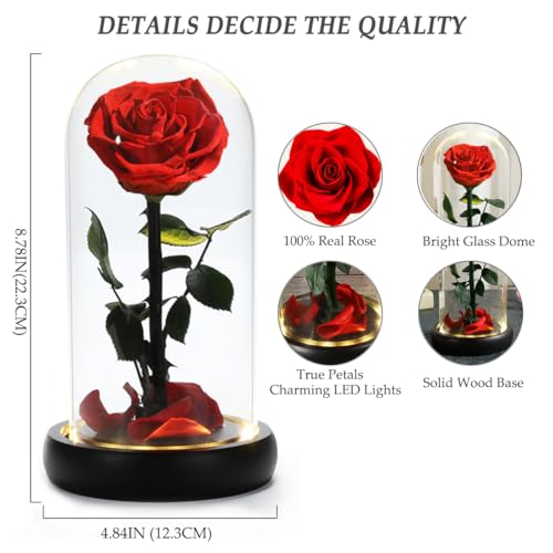 Mothers Day Rose Flower Gifts, Beauty and The Beast Rose Gifts for Women Wife Mom Girlfriend,Preserved Real Rose in Glass Dome,Forever Flowers with Warm Lights,Birthday Gifts for Women - color: Led Rose