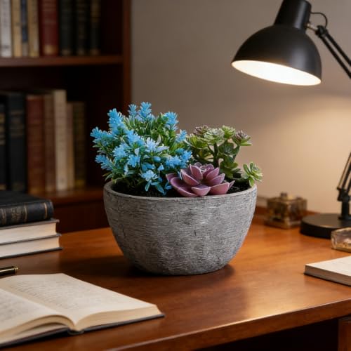 Artificial Potted Succulent Plant, Fake Greenery Simulated Succulent Pot, Small Faux Succulent Plant for Home Office Desk Table Indoor Decoration (H)