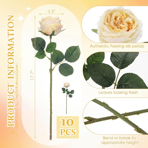 Daifunli 10pcs Real Lifelike Peonies Artificial Flowers, Faux Austin Rose with Long Stem Look Real Fake Flower for Christmas Valentines Arrangement Wedding Party Home Kitchen Decor(Champagne) - color: Champagne