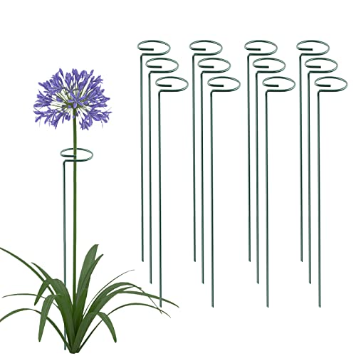 Thealyn 24 Inch 20 Packs Plant Support Stakes, Garden Single stemmed Plant Support Hoops Plant Prop for Flowers Orchid Tomatoes Peony Lily Rose Gladiolus (24 inch) - color: 24 inch-Green