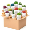 24 Set Artificial Faux Succulents in Pots Mothers Day Mini Fake Plants Plastic Artificial Plants Sometimes You Forget You're Awesome for Mother Gift Employee Nurses Coworker Colleague Teachers