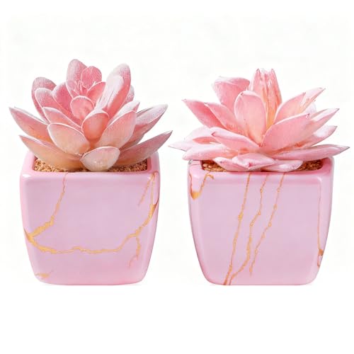 Taybonds Artificial Succulent in 2PCS Pink Ceramic Pot, Small Fake Succulents Plants for Office and Desk Decor,Bathroom - color: Pink