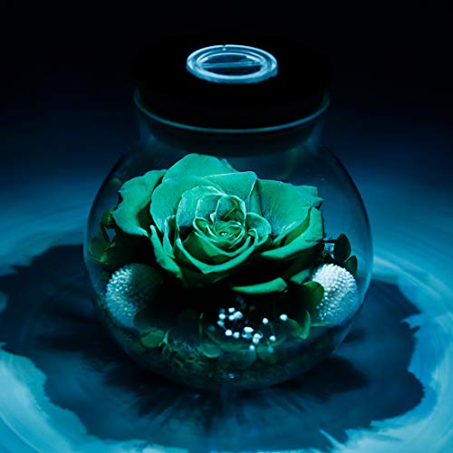 Preserved Real Roses with Colorful Mood Light Wishing Bottle,Eternal Rose，Never Withered Flowers,for Bedroom Party Table Decor, Christmas Decorations,a Gifts for Women 4.3inch1pcs (Green) - color: Green