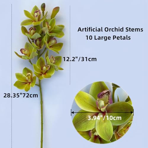 XZJMY 28.4" Artificial Phalaenopsis Flowers,Latex Phalaenopsis Branches,3D Faux Cymbidium Flowers 10 Large Petals Orchids for Home Décor (2, Green)