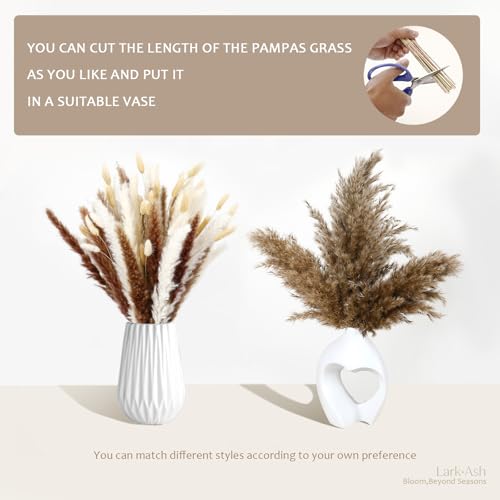 220 Stems Dried Pampas Grass Decor-White Pampas Grass,Brown Pampas,Bunny Tails Grass,Fluffy Pompas.Rustic Flower Bouquets for Wedding, Home Decor,Table Centerpiece,Apartment and Boho Decor - size: 220 Pcs