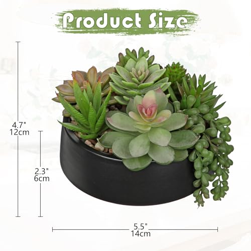 DILATATA Artificial Succulent Plants in Pot 5.5 Inch Fake Succulents Arrangement Potted Plant in Black Ceramic Planter Bowl for Home Office Desk Shelf Living Room Bedroom Bathroom Decor - color: Black Ceramic#style 2