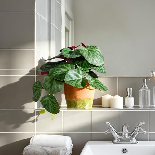 2Pack Fake Pothos Artificial Pothos Plants in Pot Realistic Small Plants Artificial Decor Indoor Decor for Shelf Desk Home Bathroom Farmhouse Room Coffee Table (Green-Type 1) - color: Green-type 1