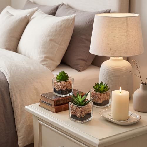 Briful Set of 3 Succulents Plants Artificial in Glass Pots Small Fake Succulents Plants Faux Plants Indoor for Home Office Table Desk Shelf Room Decor - color: Succulents #01
