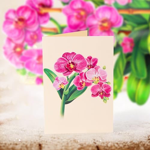 Airpark Pop Up Flower Bouquet Card for Women, 3D Floral Greeting Card with Envelope and Note, Birthday Thank You Thinking of You Get Well Gift for Mom Friend Wife Teacher, Orchid - style: Orchids