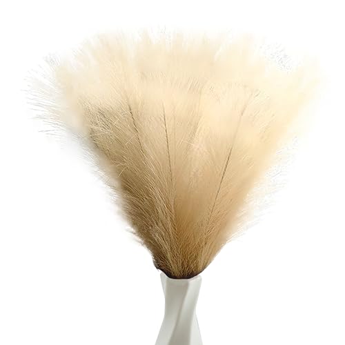 40pcs Beige Artificial Pampas Grass 21.6" Faux Dried Flowers Pompas Grass Bouquet Flower Arrangement and Vase Filler for Gothic Room Decoration Wedding Party Boho Home Decor - color: Beige