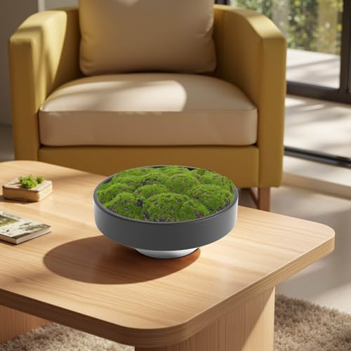 NAHARO New Moss Bowl, Handmade Ceramic. 11" Artificial Moss Bowl Centerpiece for Home Decoration, Living Room, Office - color: Black