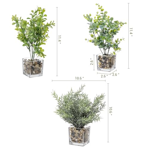 MyGift Artificial Rosemary Eucalyptus and Boxwood Plants Potted in Clear Glass Square Pots, Assorted Faux Greenery Indoor Home Table Centerpiece Office Desk Decor, 3 Piece Set - color: Green
